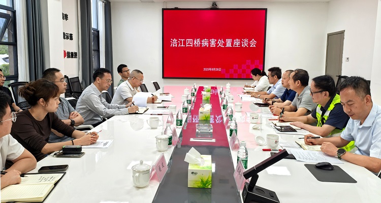 蜀道集團總工程師黃兵一行調(diào)研綿廣高速涪江四橋病害處治工作（小.jpg